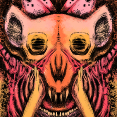 thumbnail of hyena skull illustration